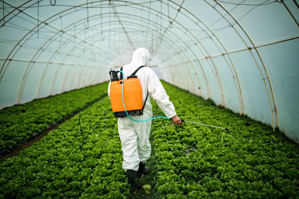 Best Pest Inspection Near Me  in Greenock, PA