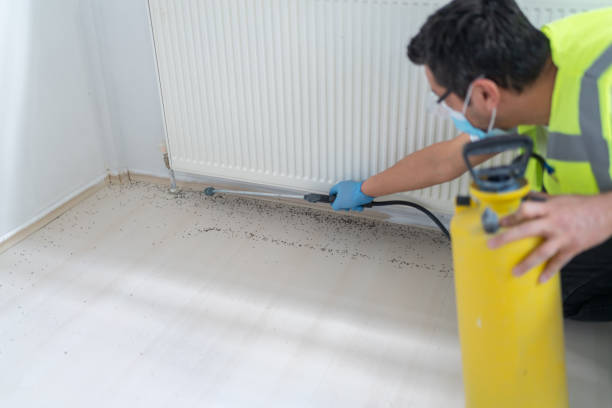 Best Best Pest Control Companies  in Greenock, PA